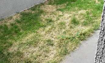 Imagem 3: CASA NOVA DE 2 QUARTOS (1 SUÍTE) NO SETOR BUENA VISTA lll ACABAMENTO PREMIUM! ZERO ENTRAD