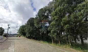 Imagem 5: Terreno Promissor em Bento Gonçalves: 2031m²