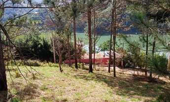 Imagem 3: Vendo chácara com 5004 metros quadrados