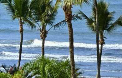 Imagem 5: Apartamento à venda, 77 m² por R$ 2.130.000,00 - Riviera Módulo 3 - Bertioga/SP