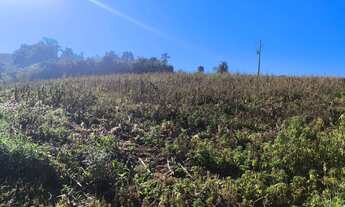 Imagem 7: Chácara Boa Vista Campo Largo 52.500m²,lavoura, cachoeira, córrego