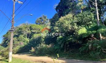 Imagem 3: Lote em Avenida Chimango - Colinas - São Francisco de Paula/RS