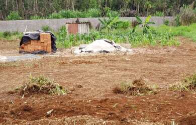 Imagem 6: Vendo esse terreno