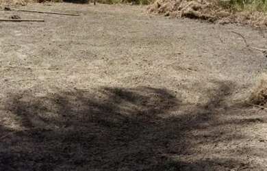 Imagem 3: 1 lote de terreno 180 metros quadrados no centro. Tel: * tem conversa de preço