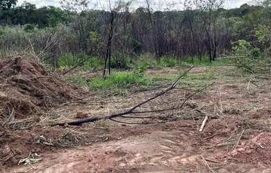 Imagem 5: NATUREZA ABUNDANTE