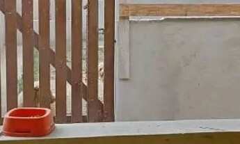 Imagem 5: Excelente casa na praia do Barbudo