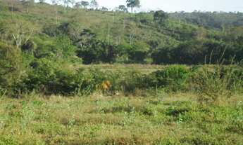 Imagem 3: Chácara em Baldim de 21mil m² com Rio nos fundos, WhTSApp * Guilherme