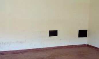 Imagem 6: Alugo casa st eduardo