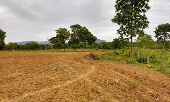 Imagem 7: Goias-GO Município Nova Roma Vendo Fazenda