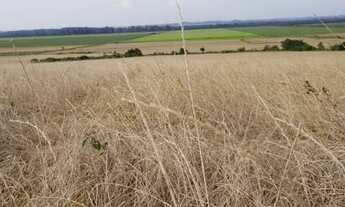 Imagem: Fazenda com tripla aptidão de 150Hs Cachoeira
