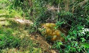 Imagem 3: Vendo Excelente fazenda Em Nazaré das farinha