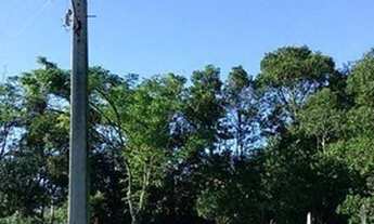 Imagem 5: Área agrícola em Cerro Branco RS Fazenda