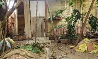 Imagem 5: Porto Alegre - Terreno Padrão - Hípica