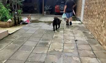 Imagem 5: Casa para venda tem 85 metros quadrados com 3 quartos em José Américo de Almeida - João Pe