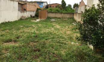 Imagem 4: Terreno Gralha Azul