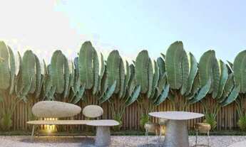 Imagem 5: W. Pré lançamento, Aproveite!