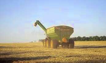 Imagem 4: ET - Crédito Rural - Compra de Imóvel - Milho Soja Cana Gado Trigo Feijão