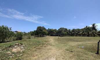 Imagem 4: Terreno Jardim Recreio Santa Maria 23.000m2