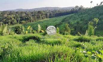 Imagem 6: Vale do Anari - Fazenda - 63 alqueires