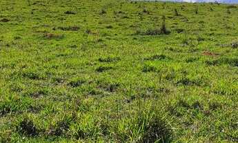 Imagem 14: Promoção impervivel em Nazaré paulista bairro: moinho 2 São Paulo - SP