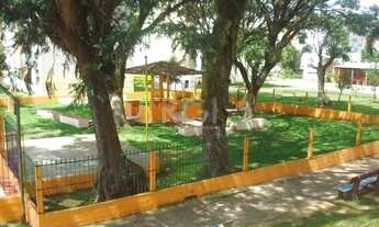 Imagem 3: Porto Alegre - Apartamento Padrão - Santa Rosa de Lima