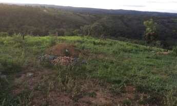 Imagem 5: Sítio, ótimo investimento,20 hectares