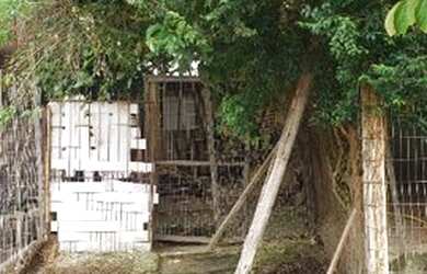 Imagem 2: Porto Alegre - Terreno Padrão - Hípica