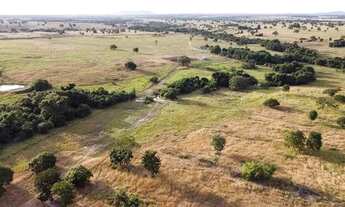 Imagem 5: Fazenda Dupla Aptidão em Araguapaz - Go