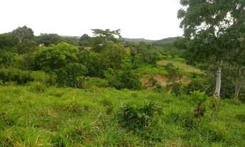 Imagem 7: Fazenda 61 Alqueires no mun Padre Bernardo terra apropriada para gado