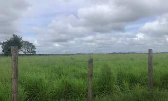 Imagem 3: Fazenda com 300 alqueires entre Paragominas e Mãe do rio