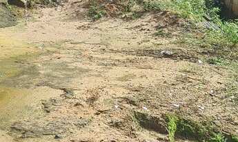 Imagem 2: Vendo Terreno no bairro do São Jorge