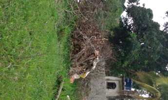 Imagem 2: Terreno grande Terreno / lote com venda por R$9.000