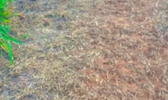 Imagem 7: Está disponível em Nazaré Paulista!!