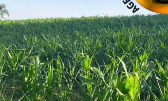 Imagem 4: Terrenos com Vista Excelente e fica na beira do Asfalto Ibiúna SP