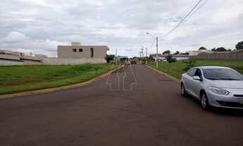 Imagem 6: Araçatuba - Lote/Terreno - Santa Luzia