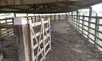 Imagem 7: Fazenda, Centro, São Sebastião do Passe - R$ 4.9 mi, Cod: 68602