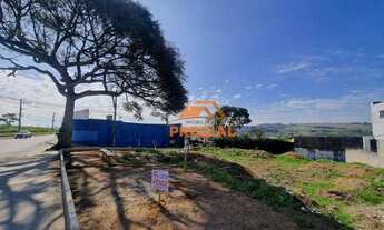 Imagem 2: Terreno à venda, 800 m² - Jardim Nova Michigan II - São José dos Campos/SP