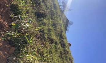 Imagem 2: R5- Promoção imperdível Imóvel para venda com 600 metros quadrados em Igarata