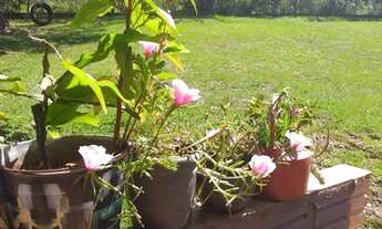 Imagem 4: TAQUARA - RESIDENCIAL - Fazenda Fialho