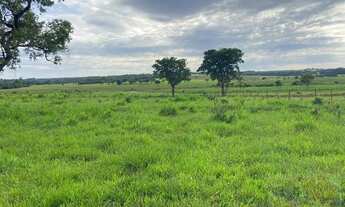 Imagem 4: Área para Venda em Aparecida do Taboado, Aparecida do Taboado