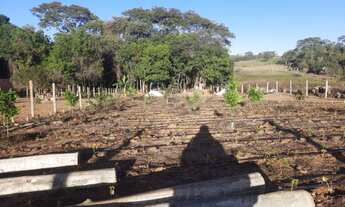 Imagem 2: Vendo Chácara no município de Nerópolis 2.500 m²