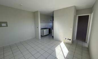 Imagem 5: JARAGUá DO SUL - Padrão - Água verde