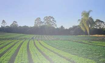 Imagem: TERRENO A VENDA DIRETO COM O PROPRIETARIO