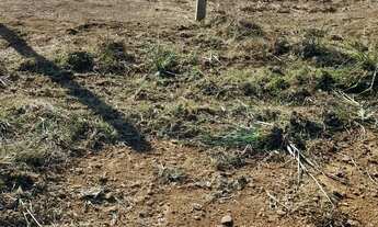 Imagem: Terreno no mujui