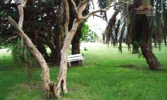 Imagem 5: Sítio a venda em Viamão, próximo a Porto Alegre