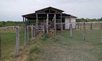 Imagem 3: Fazenda 413 Alqueires, Peixe - TO