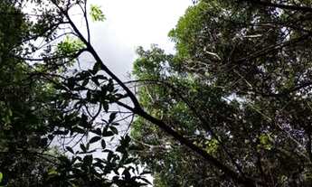 Imagem 2: Lote Jaraguari MS