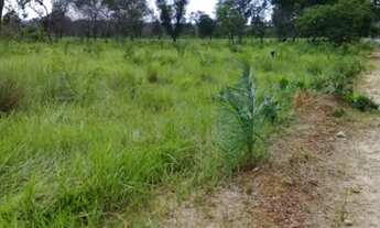 Imagem 5: Vendo Fazenda em Centenário Tocantins