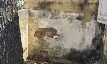 Imagem 3: Alugo casa de Vila na Taquara precisando de reforma geral