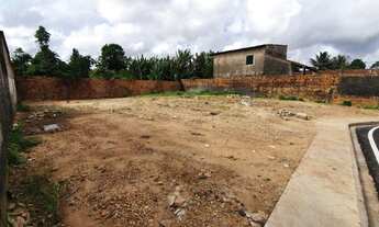 Imagem 6: Terreno na Mario Covas próximo a transcoqueiro, 230 mil, 452m , Alex documentado